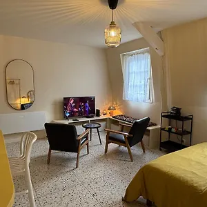  Appartement Duplex Avec Patio - Quartier Historique France